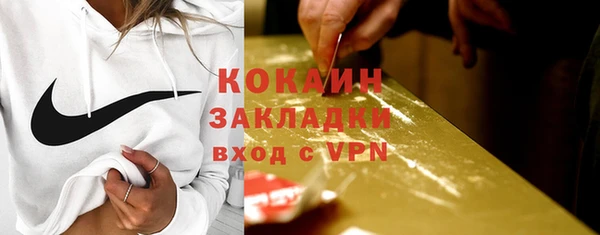 прущие грибы Гусь-Хрустальный