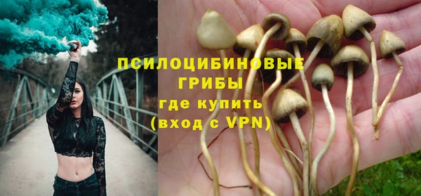 PSILOCYBIN Абдулино