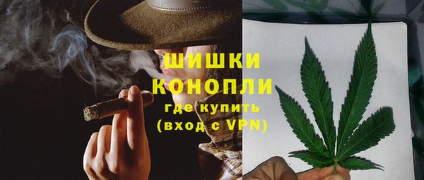 PSILOCYBIN Абдулино