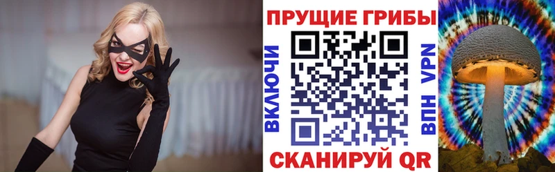 Галлюциногенные грибы Cubensis  Аргун 