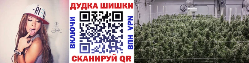 Шишки марихуана гибрид где купить наркоту Аргун